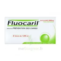 Fluocaril Bi-fluoré 250 Mg Pâte Dentifrice Menthe 2t/125ml à Bassens