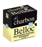 Charbon De Belloc 125 Mg Caps Molle B/60 à Bassens